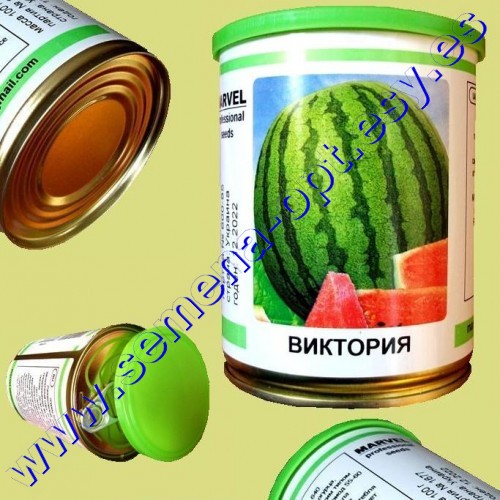 Альбина Семена Оптом Интернет Магазин